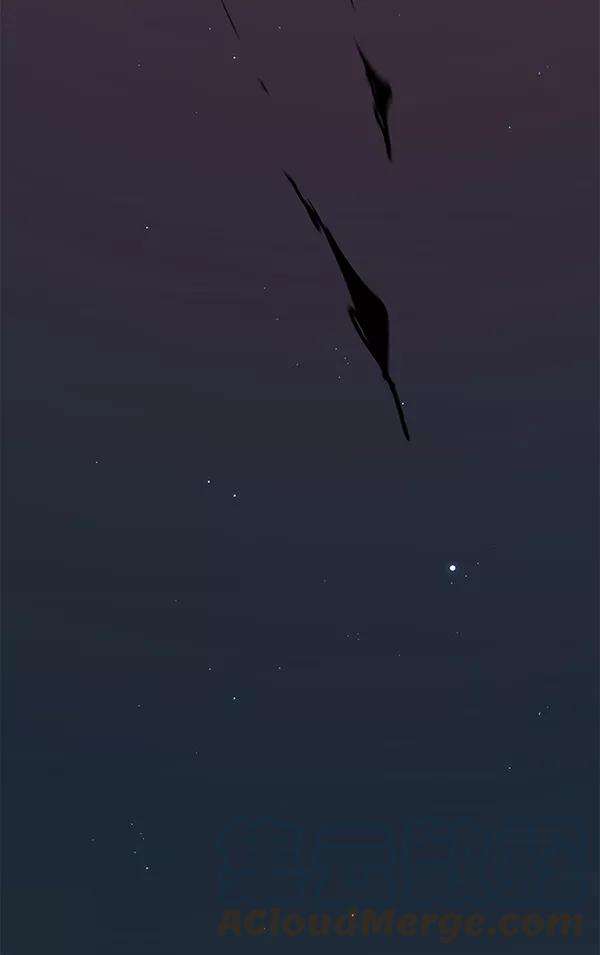 觉醒吧，铲屎官！169话