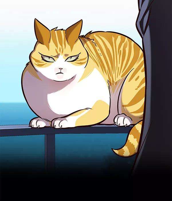 觉醒吧，铲屎官！169话