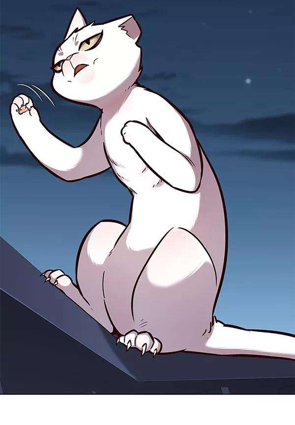 觉醒吧，铲屎官！169话