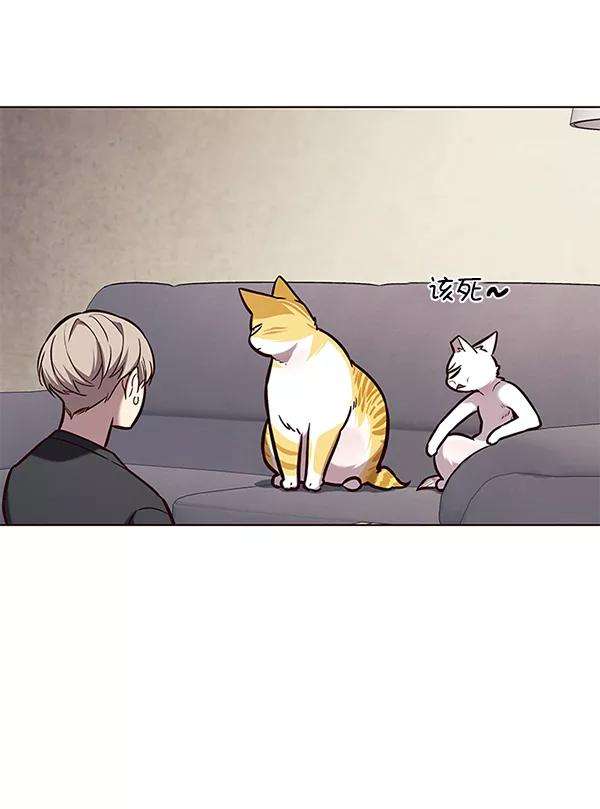 觉醒吧，铲屎官！173话
