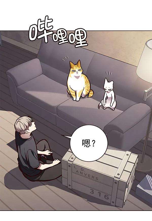 觉醒吧，铲屎官！173话