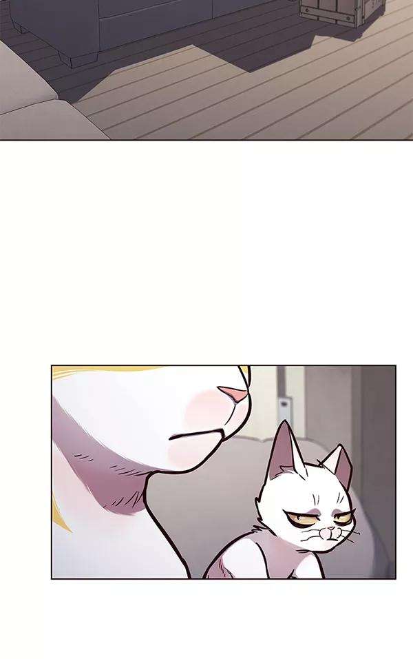 觉醒吧，铲屎官！173话