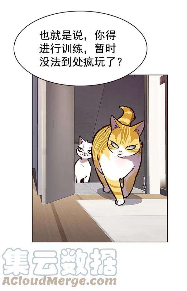 觉醒吧，铲屎官！173话