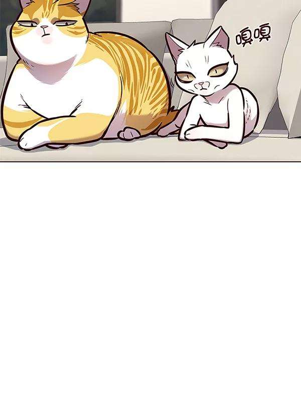 觉醒吧，铲屎官！173话