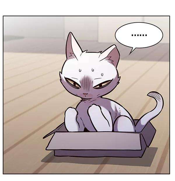 觉醒吧，铲屎官！174话