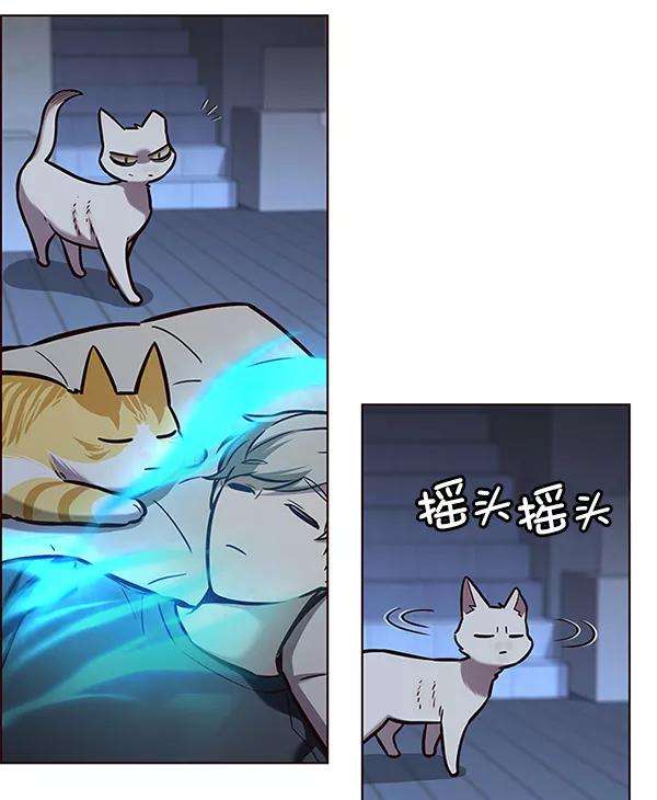 觉醒吧，铲屎官！174话