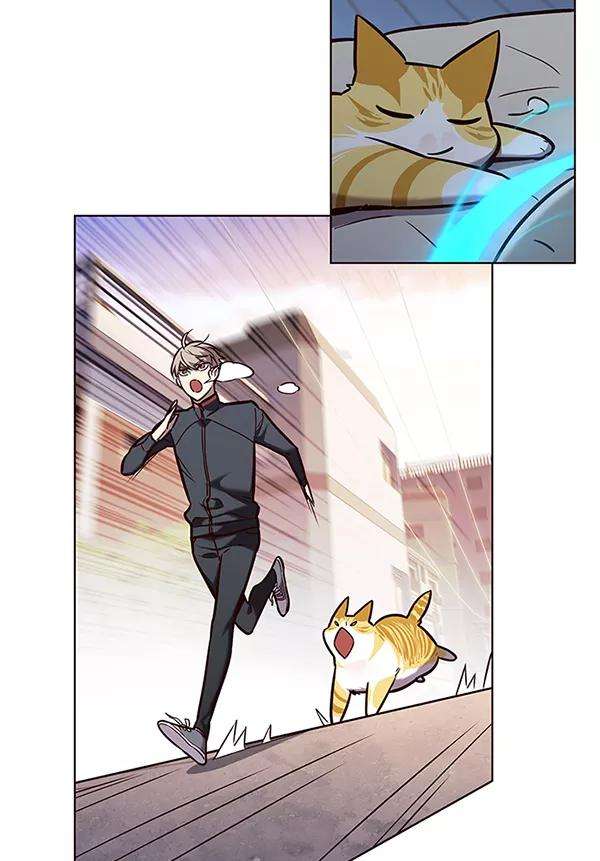 觉醒吧，铲屎官！174话