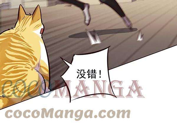 觉醒吧，铲屎官！174话