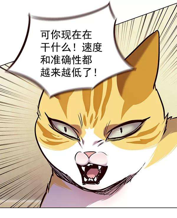 觉醒吧，铲屎官！174话