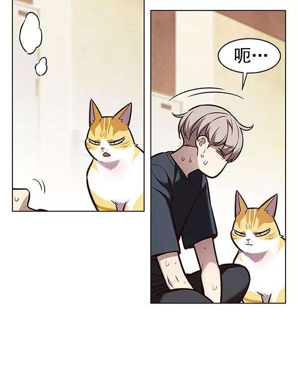 觉醒吧，铲屎官！174话