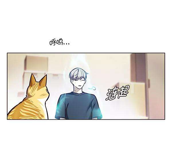 觉醒吧，铲屎官！174话