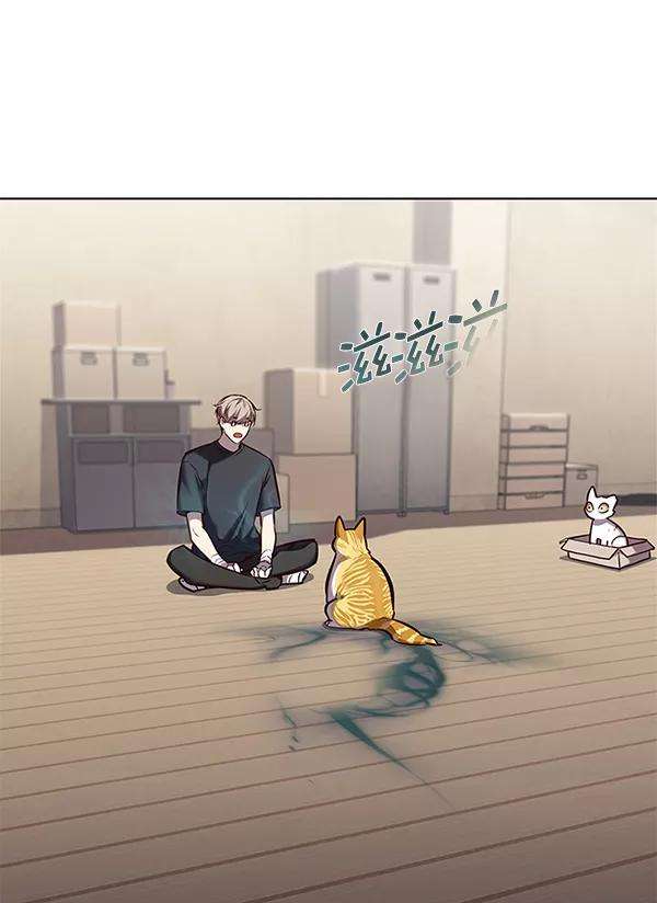 觉醒吧，铲屎官！174话