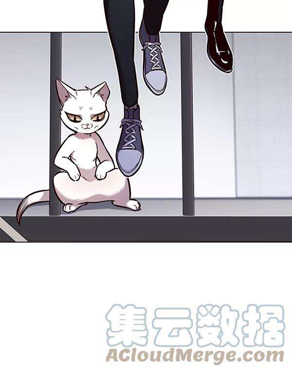 觉醒吧，铲屎官！175话