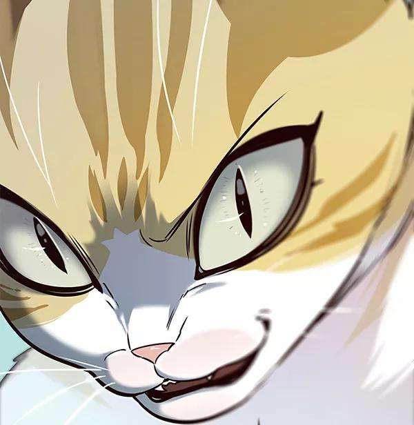 觉醒吧，铲屎官！175话