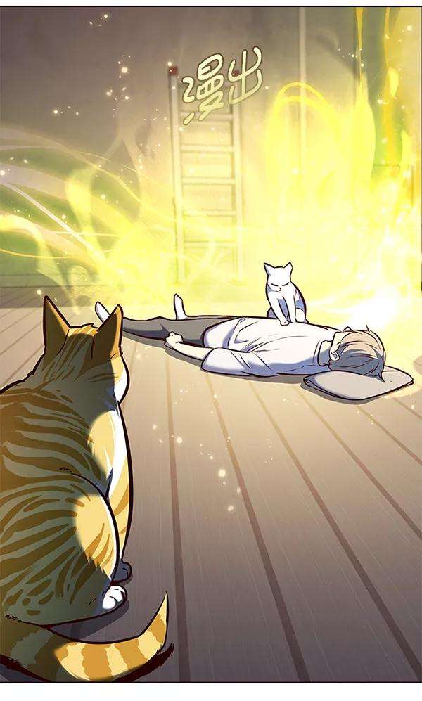 觉醒吧，铲屎官！176话