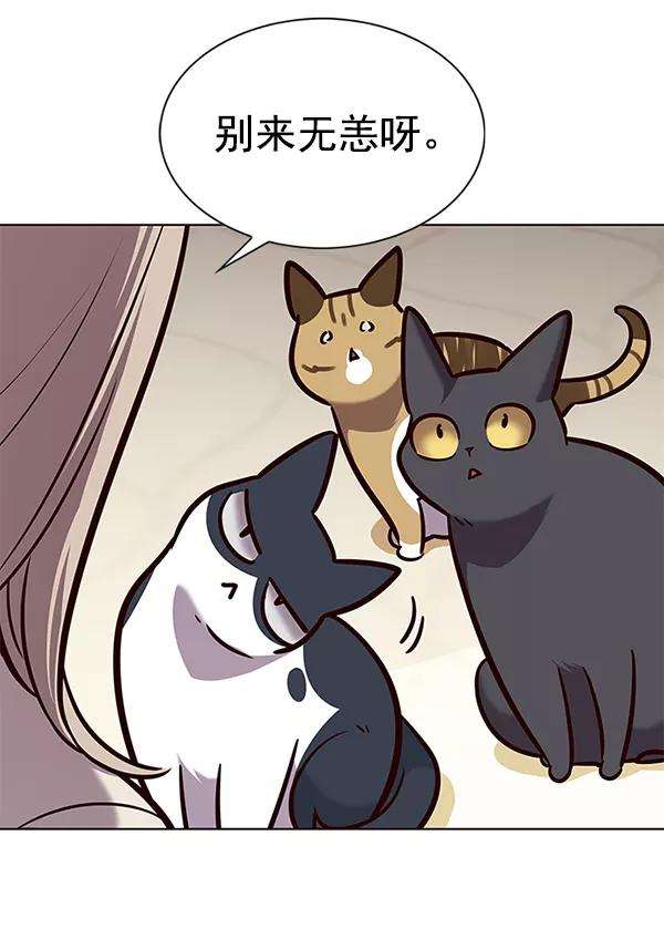 觉醒吧，铲屎官！176话