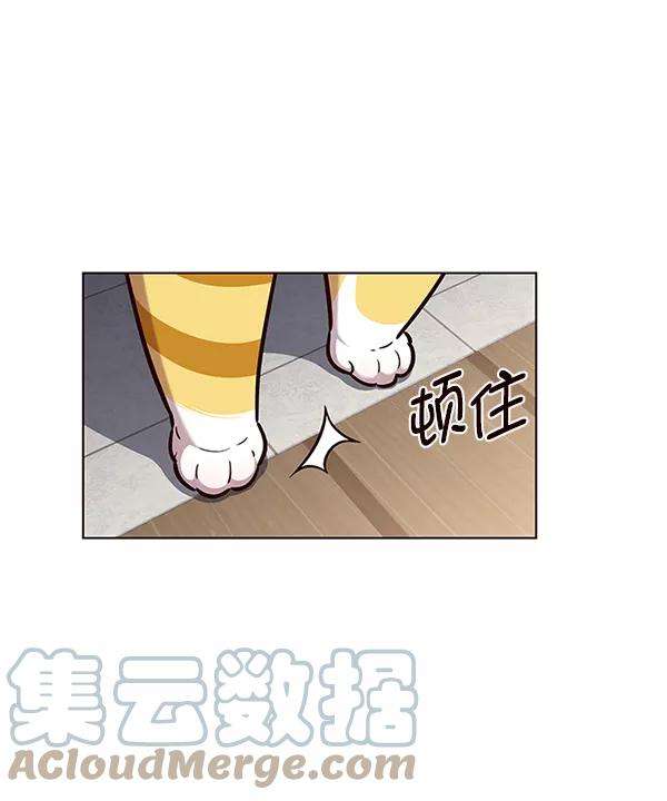 觉醒吧，铲屎官！177话