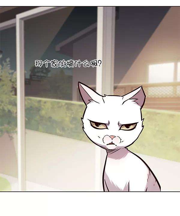 觉醒吧，铲屎官！177话