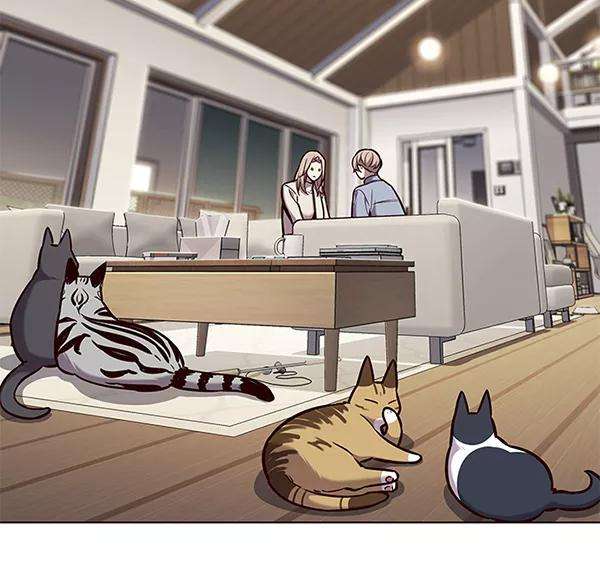 觉醒吧，铲屎官！177话