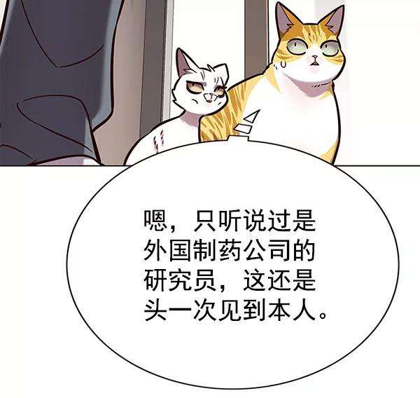 觉醒吧，铲屎官！177话