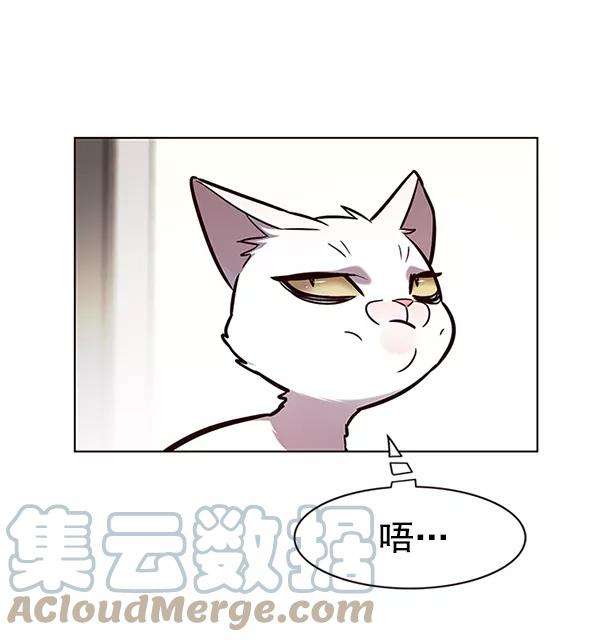 觉醒吧，铲屎官！177话