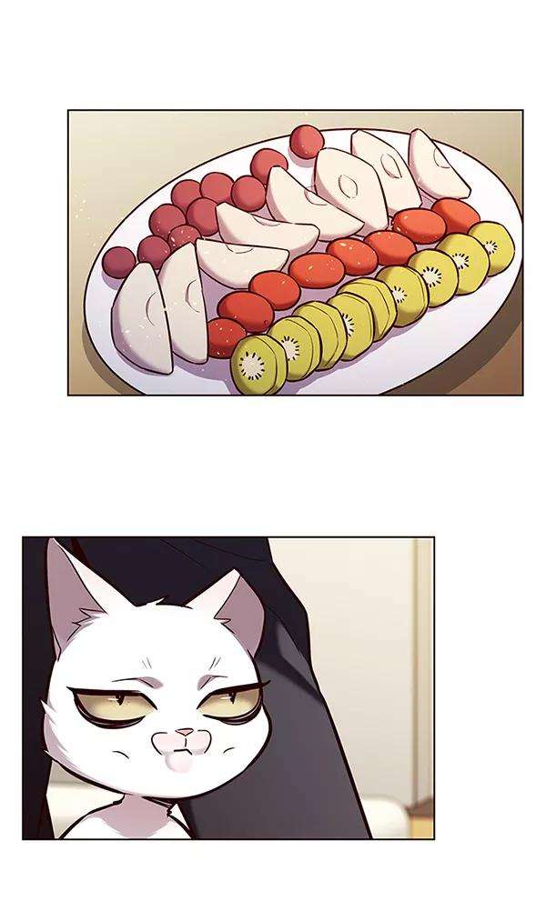 觉醒吧，铲屎官！178话