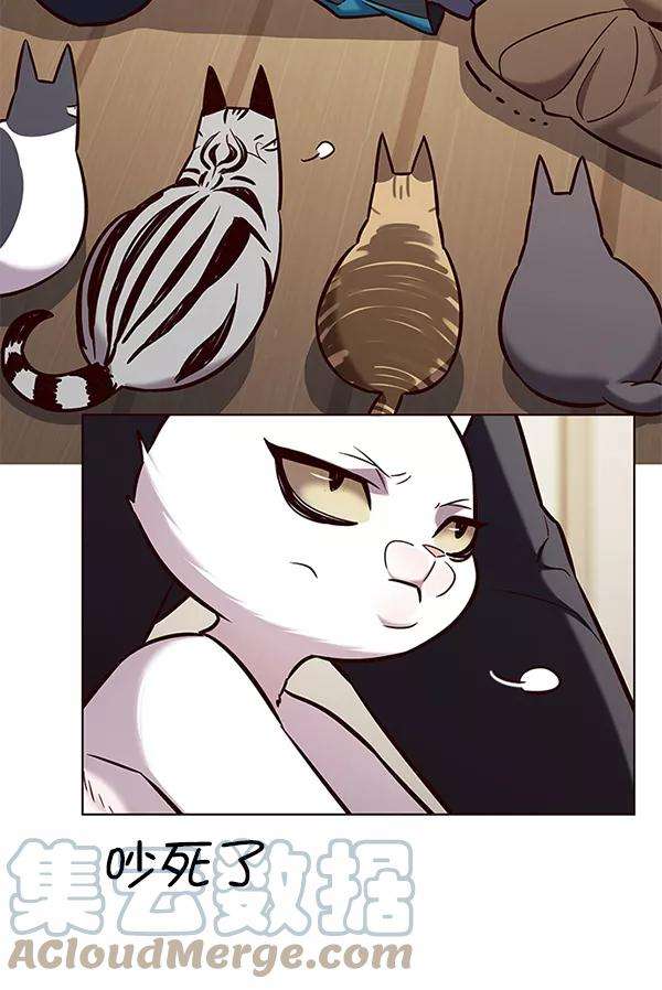 觉醒吧，铲屎官！178话