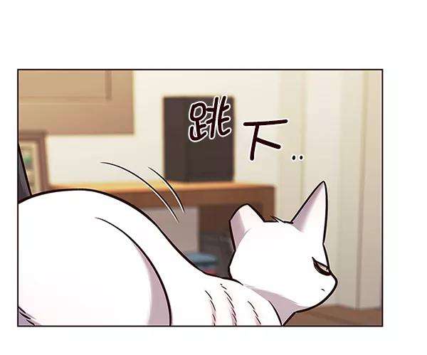 觉醒吧，铲屎官！178话