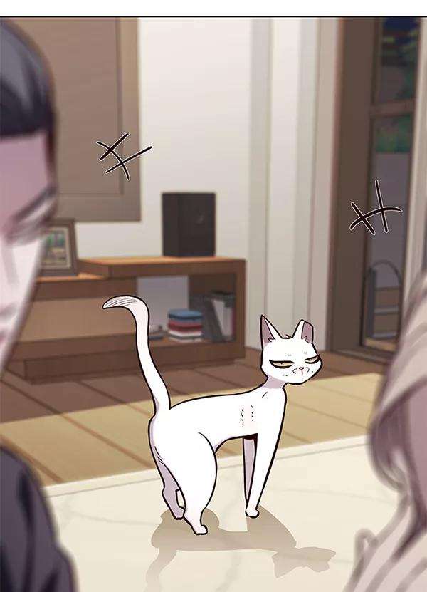 觉醒吧，铲屎官！178话