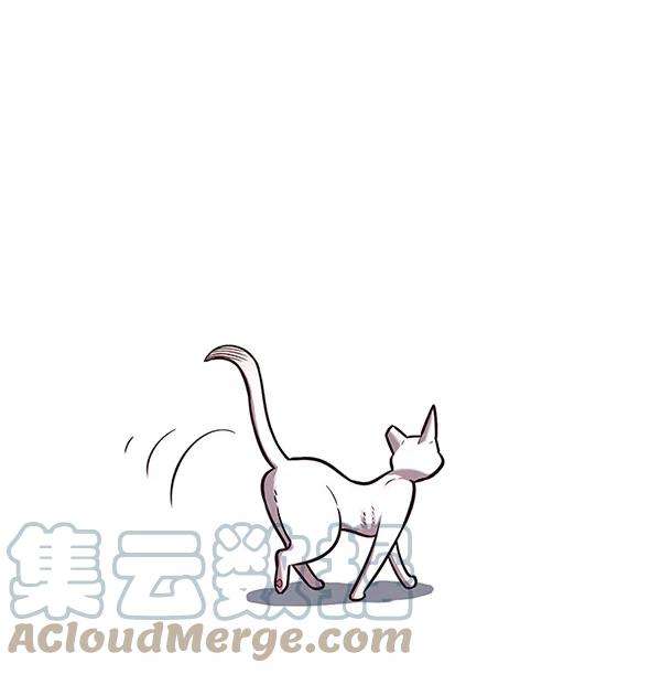 觉醒吧，铲屎官！178话