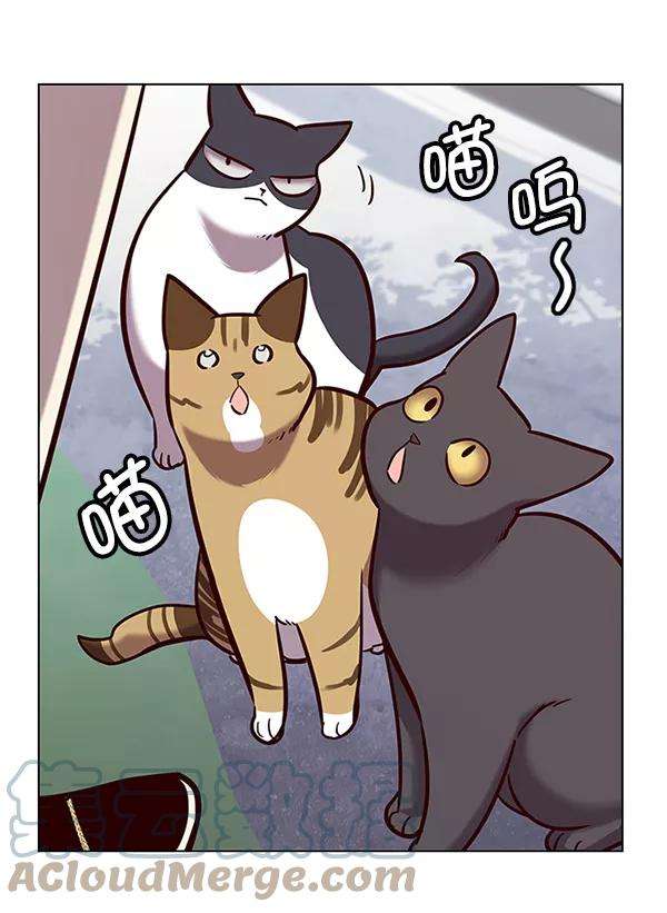 觉醒吧，铲屎官！179话