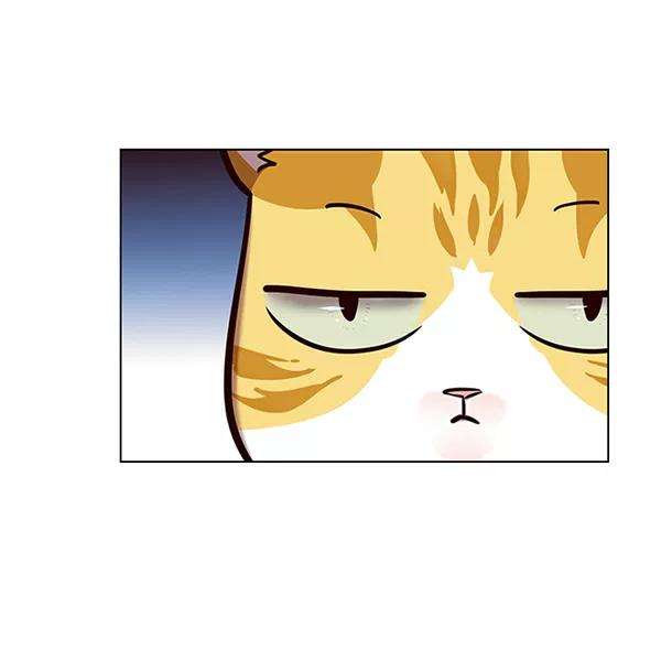 觉醒吧，铲屎官！179话