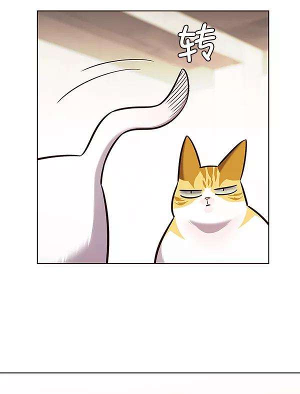 觉醒吧，铲屎官！179话