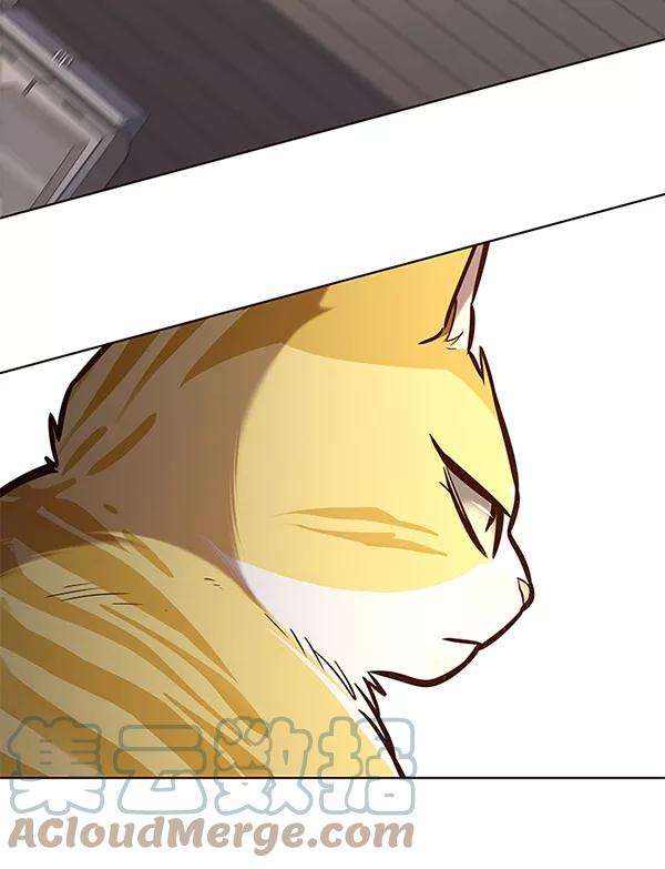 觉醒吧，铲屎官！179话