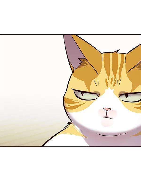 觉醒吧，铲屎官！179话