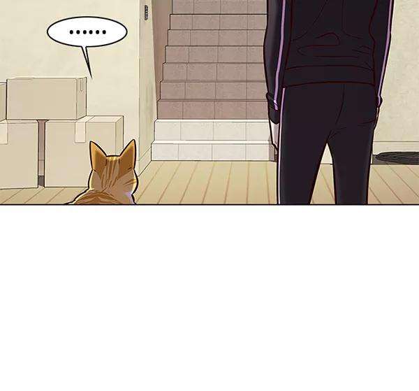 觉醒吧，铲屎官！179话