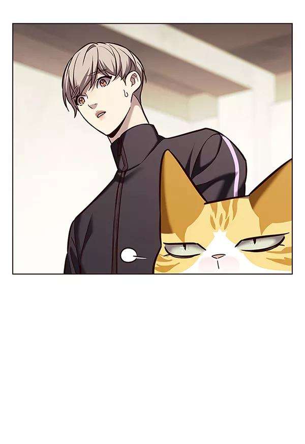 觉醒吧，铲屎官！179话