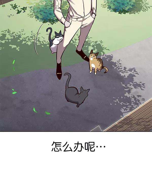 觉醒吧，铲屎官！179话