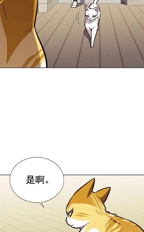 觉醒吧，铲屎官！180话