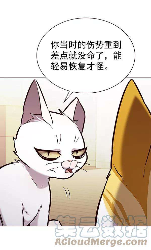 觉醒吧，铲屎官！180话