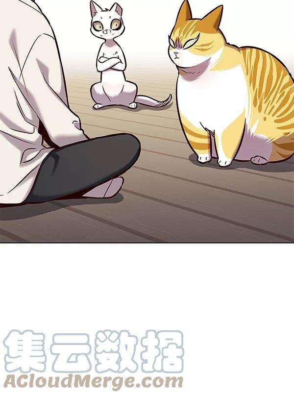 觉醒吧，铲屎官！180话