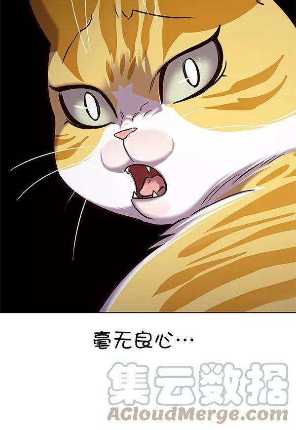 觉醒吧，铲屎官！180话