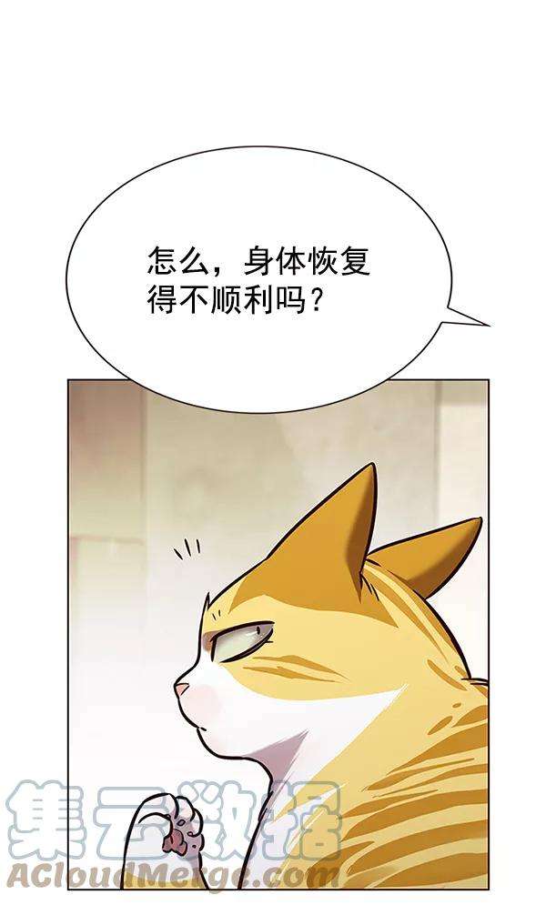 觉醒吧，铲屎官！180话