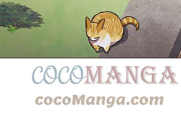 觉醒吧，铲屎官！181话