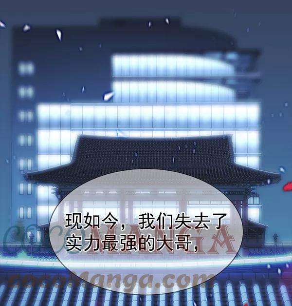 觉醒吧，铲屎官！181话