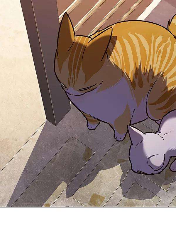 觉醒吧，铲屎官！181话