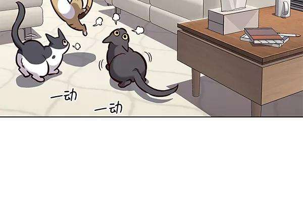 觉醒吧，铲屎官！182话