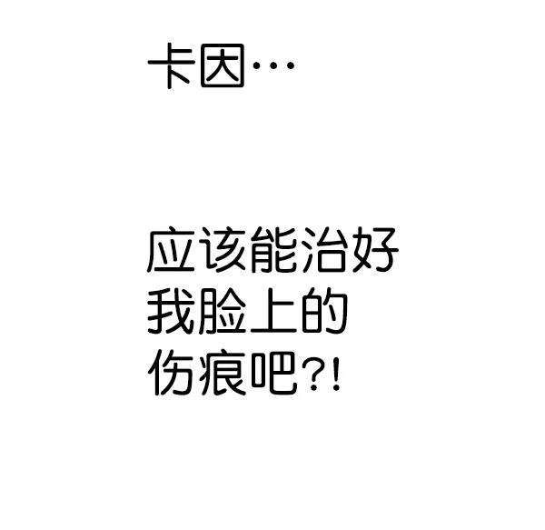 觉醒吧，铲屎官！185话