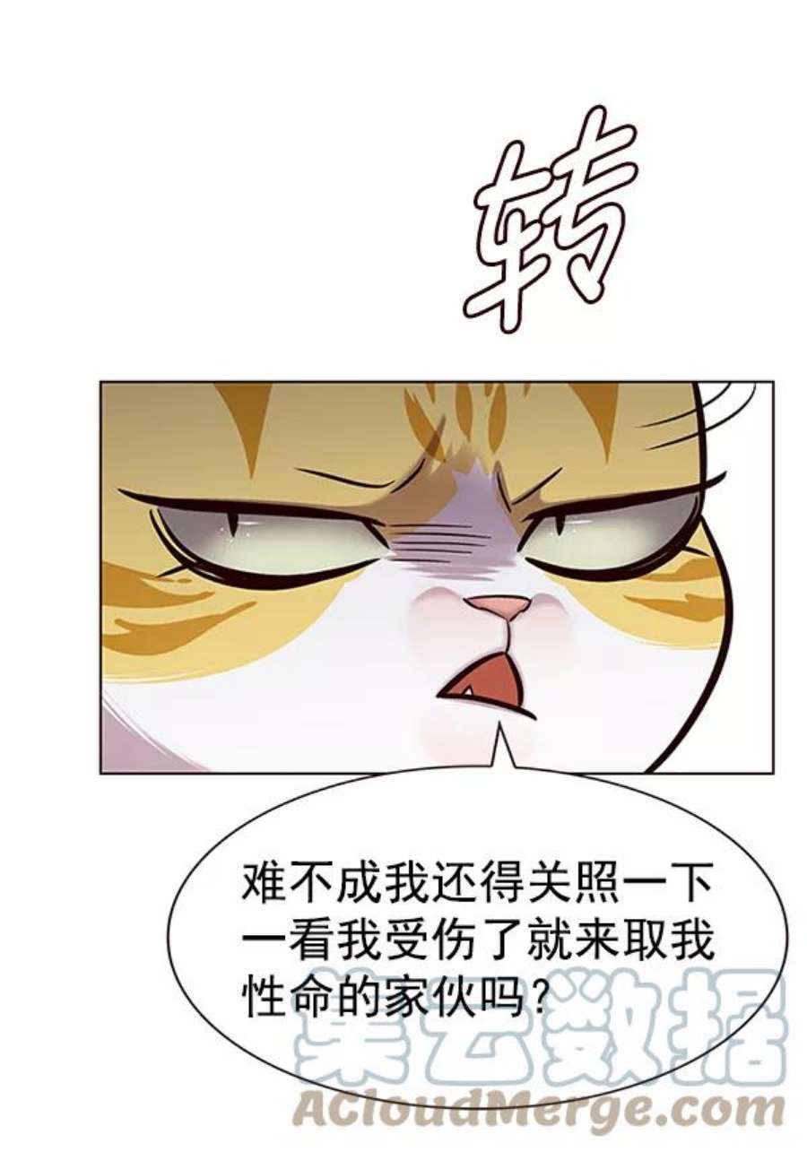 觉醒吧，铲屎官！186话