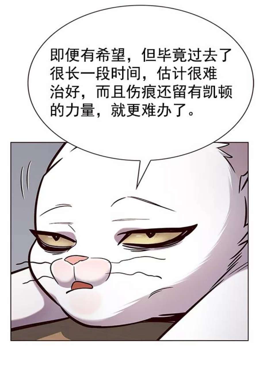 觉醒吧，铲屎官！187话